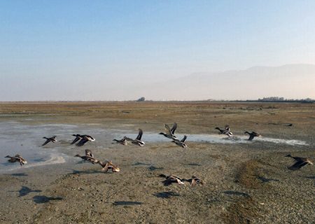 تلاش برای حفاظت از تالاب پریشان با اجرای کشاورزی پایدار