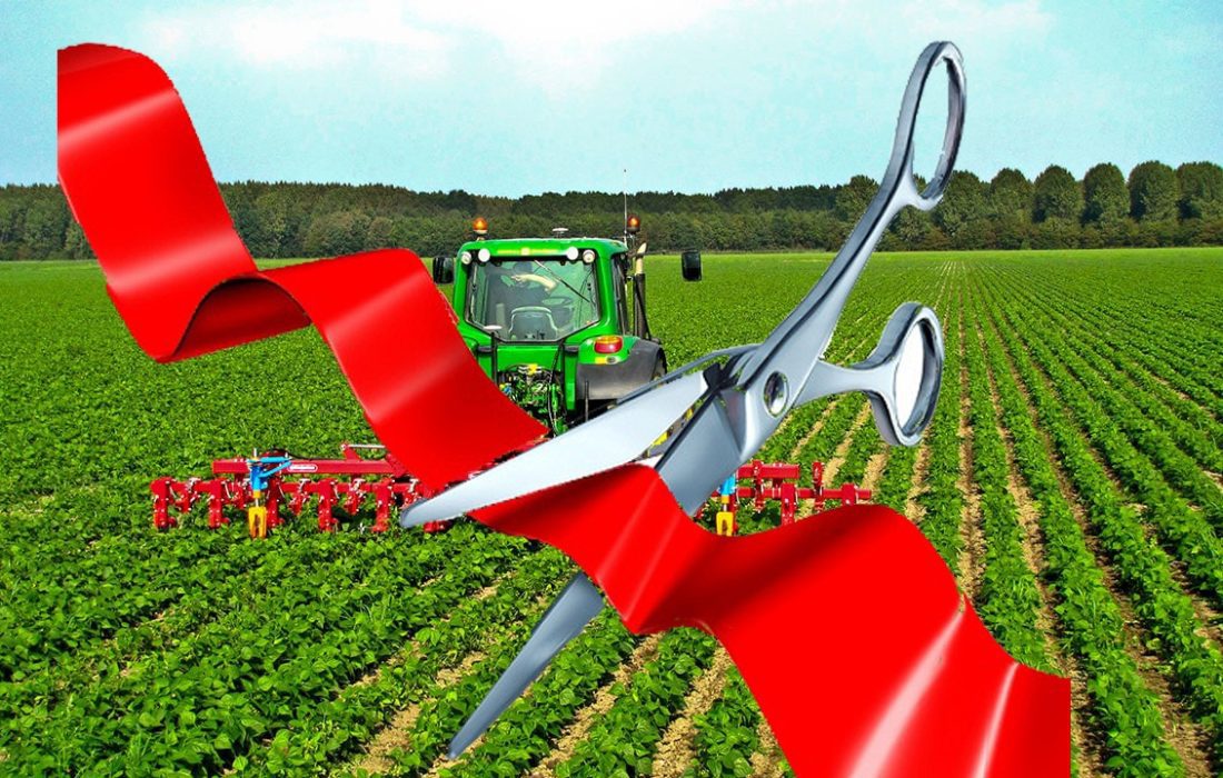 ۶۴ طرح کشاورزی در فارس افتتاح می شود