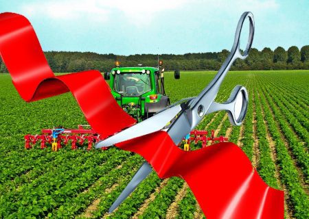 ۶۴ طرح کشاورزی در فارس افتتاح می شود