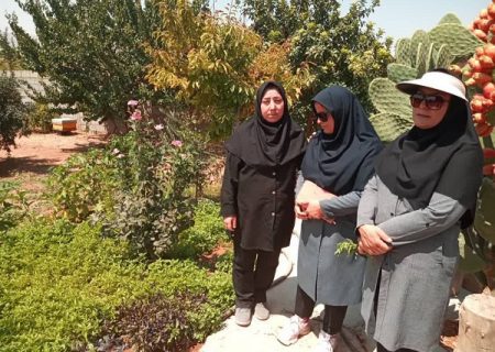 ایجاد ۵ باغچه سلامت توسط بانوان بیضایی
