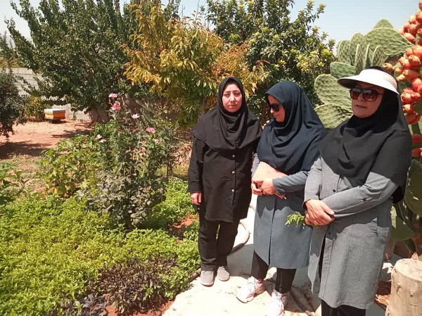 ایجاد ۵ باغچه سلامت توسط بانوان بیضایی