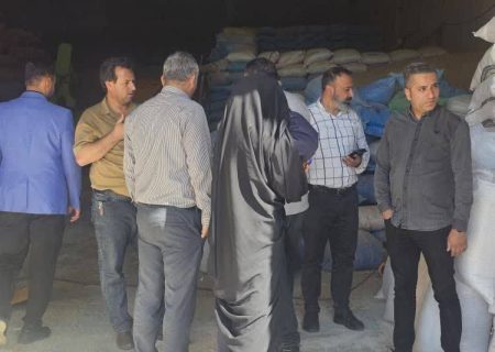 تقویت نظارت بر نهاده‌های کشاورزی؛ گامی برای تضمین امنیت غذایی در مرودشت