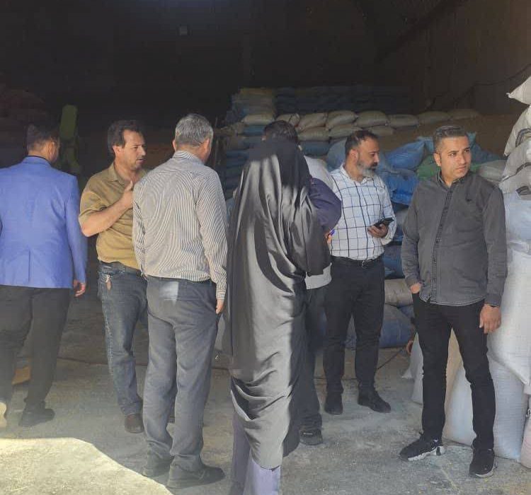 تقویت نظارت بر نهادههای کشاورزی؛ گامی برای تضمین امنیت غذایی در مرودشت