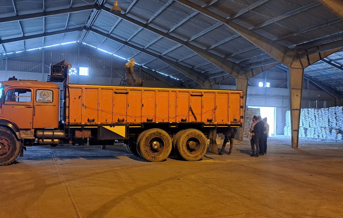 فروش مستقیم مقدار ۱۱۸ تن کود کلرور پتاسیم گرانوله به کشاورزان