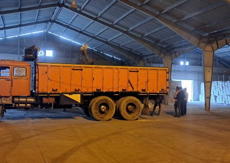 فروش مستقیم مقدار ۱۱۸ تن کود کلرور پتاسیم گرانوله به کشاورزان