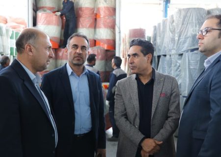 تکمیل خط انتقال دومداره برق برای شهرک‌صنعتی مرودشت/ انعقاد ۹۱ قرارداد سرمایه‌گذاری