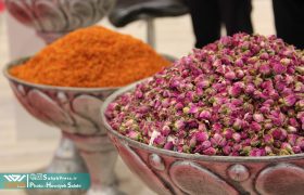 فیلم | نمایشگاه بین المللی توانمندی های صادراتی – شیراز اکسپو – ۲