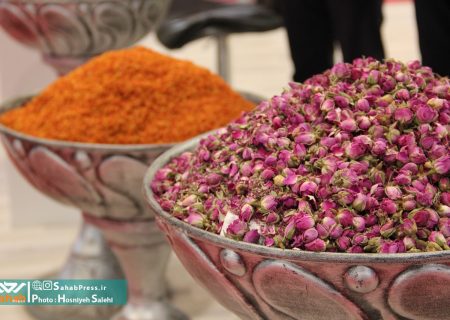 فیلم | نمایشگاه بین المللی توانمندی های صادراتی – شیراز اکسپو – ۲