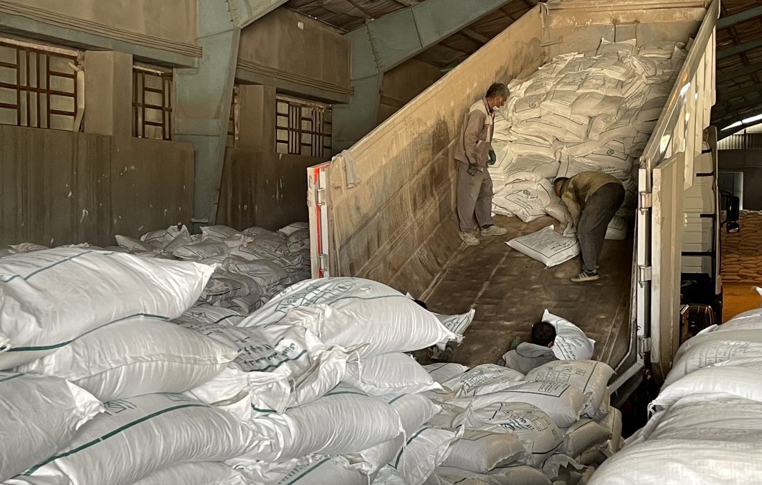 توزیع ۶۵ تن کود پتاس در فسا برای پشتیبانی از کشاورزان در فصل کشت پاییزه