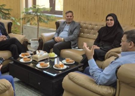 جلسه بررسی وضعیت ارتباطی شهرستان بیضا برگزار شد