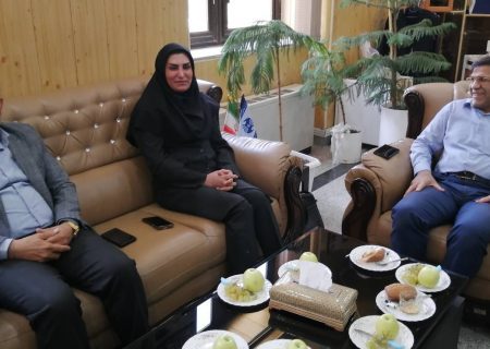 جلسه بررسی وضعیت ارتباطی شهرستان داریون برگزار شد