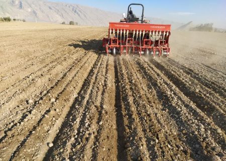 آغاز کشت کلزا در هزار و ۱۰۰ هکتار از مزارع فیروزآباد