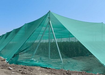 اولین گلخانه تابع اقلیم در بیضا به بهره برداری رسید