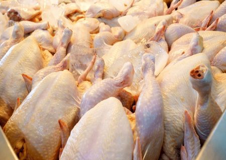 تولید ۲۶۰۰ تن گوشت سفید در فیروزآباد