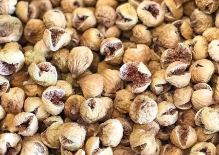 تولید بیش از هزار تن انجیر خشک در میمند فیروزآباد