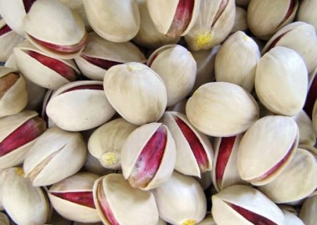 فرآوری سالانه ۳۰۰ تن پسته در ترمینال پسته فیروزآباد