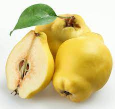 پیش بینی تولید بالغ بر ۲۲ هزار تن “بِه” در فارس