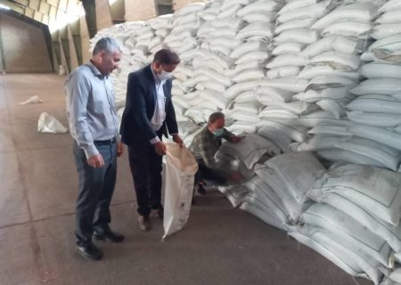 نمونه‌برداری از ۲۰۰ تن پارت سه کود سوپر فسفات ساده در انبار سازمانی فارس؛ گامی برای تضمین کیفیت نهاده‌های کشاورزی