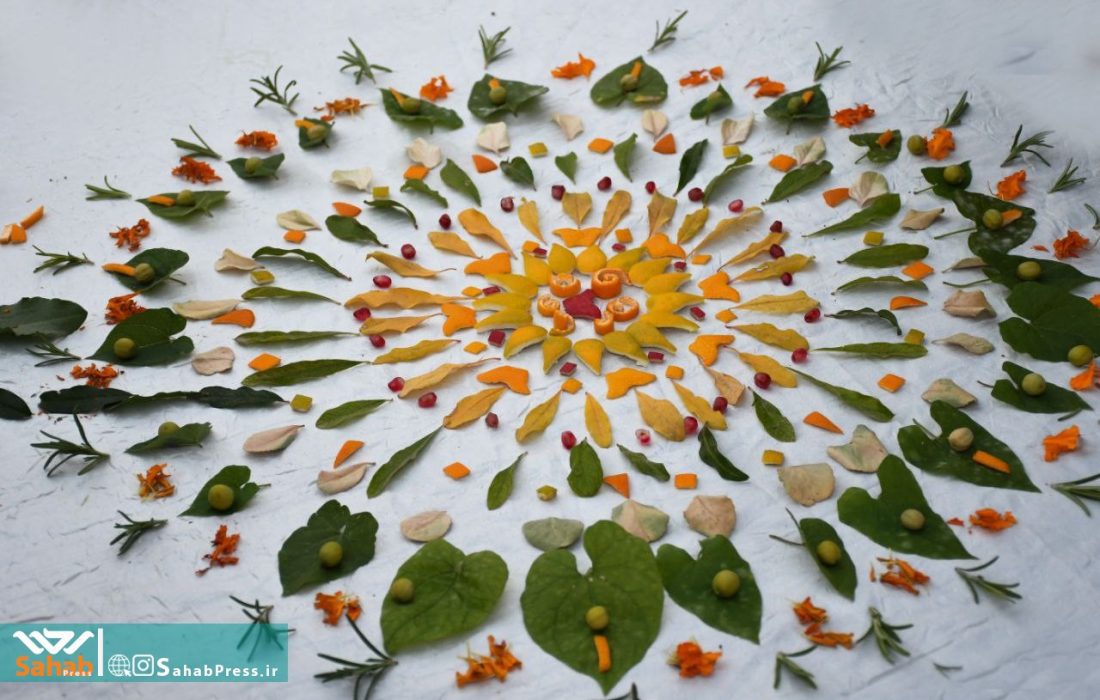 گزارش تصویری | رویداد محیط‌زیستی چرخه سبز در شیراز