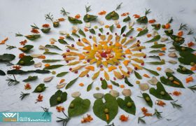 گزارش تصویری | رویداد محیط‌زیستی چرخه سبز در شیراز