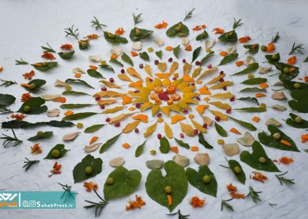 گزارش تصویری | رویداد محیط‌زیستی چرخه سبز در شیراز