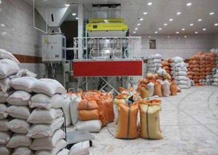 ۷ واحد برنجکوبی در بیضا فعال است