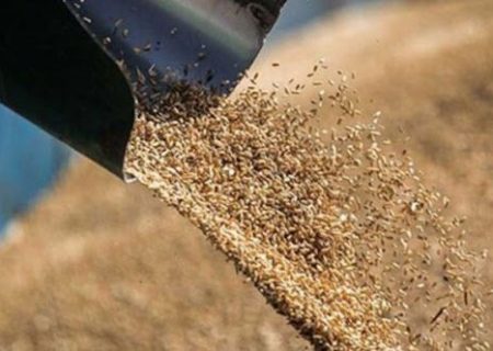 نیاز نهاده‌های دامی در فارس تأمین می‌شود