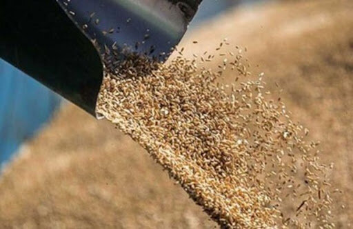 نیاز نهاده‌های دامی در فارس تأمین می‌شود