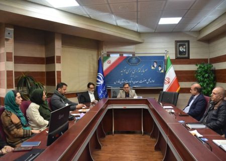 اولویت‌دهی به رفع مشکلات تولید و صادرات فرش دستباف در فارس