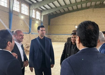 شیراز صاحب خانه هندبال شد