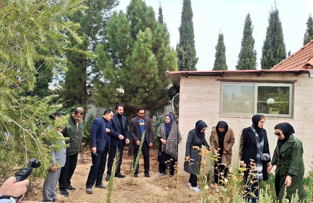 «در سایه مادر»؛ سالمندان فرزانگان شیراز همصدای سراسر کشور نهال امید کاشتند