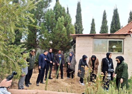 «در سایه مادر»؛ سالمندان فرزانگان شیراز همصدای سراسر کشور نهال امید کاشتند