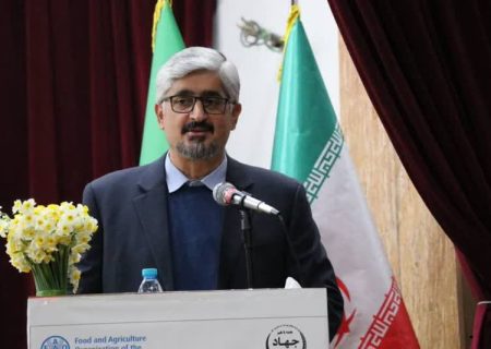 تنظیم بازار در گرو حضور پررنگ و مستمر  تشکل‌های بخش کشاورزی است