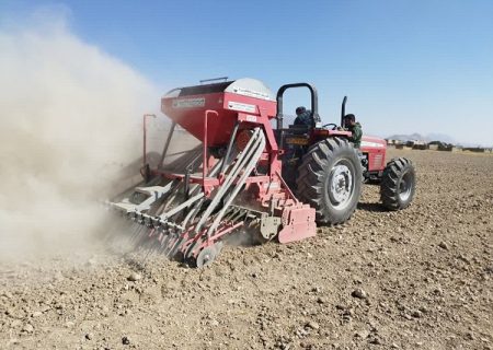 پیش‌بینی کشت ۲۸ هزار هکتار غلات پاییزه در بیضا