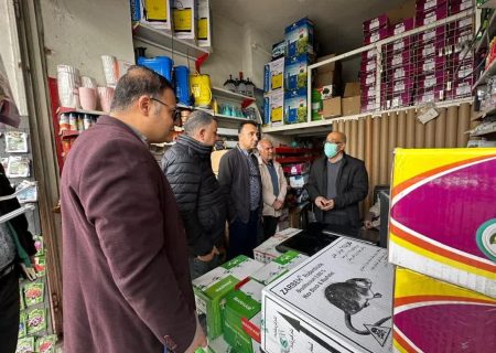 برگزاری سومین مانور نظارت بر فروشگاه‌های عرضه آفت‌کش‌های گیاهی در فارس