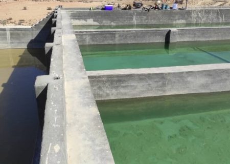 نخستین مزرعه پرورش ماهی فیروزآباد به بهره برداری رسید