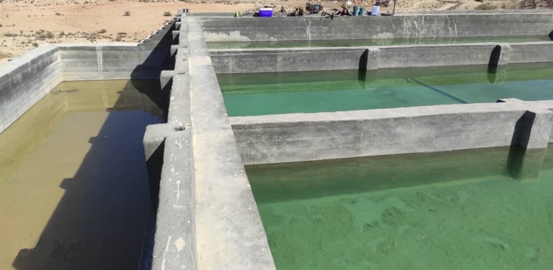 نخستین مزرعه پرورش ماهی فیروزآباد به بهره برداری رسید