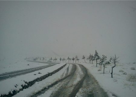 بارش برف در فارس مشکلی تاکنون ایجاد نکرده است/ از سفرهای غیرضرور بپرهیزید