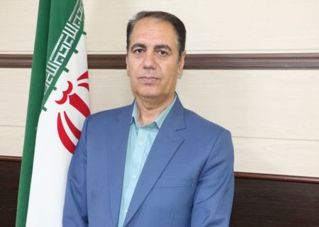 تشکیل ۳۴ هزار پرونده تخلف در تعزیرات فارس