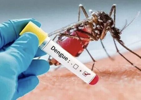 راهکارهای پیشگیرانه با پشه آئدس/ آب‌های راکد را از محیط زندگی پاکسازی کنیم