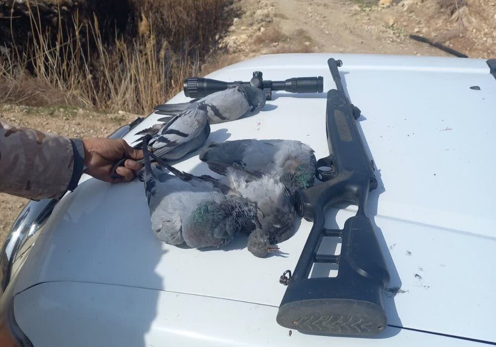 شکارچی غیرمجاز در حاشیه تالاب مهارلو دستگیر شد