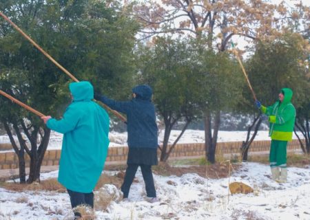 آماده‌باش کامل خدمات شهری شیراز برای مدیریت بحران در میانه بارندگی و برف