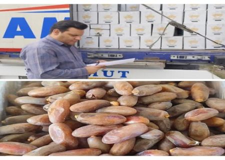 صادرات بیش از ۳ هزار تُن خرمای شاهانی جهرم به هند طی ۱۵ روز