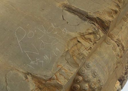 توضیح مجموعه جهانی تخت جمشید در خصوص یادگاری‌نویسی در دروازه ملل