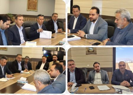 رفع تداخل صنفی به نفع تمامی صنوف است/ رصد عرضه محصولات غذایی در فضای مجازی شیراز